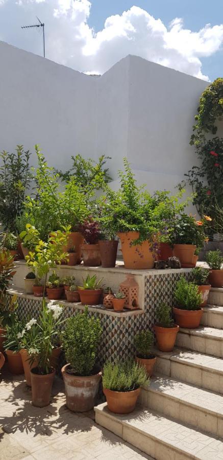Casa Rural Los Danzantes Fuente-Tojar Εξωτερικό φωτογραφία
