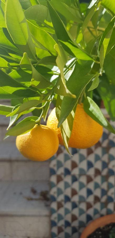 Casa Rural Los Danzantes Fuente-Tojar Εξωτερικό φωτογραφία