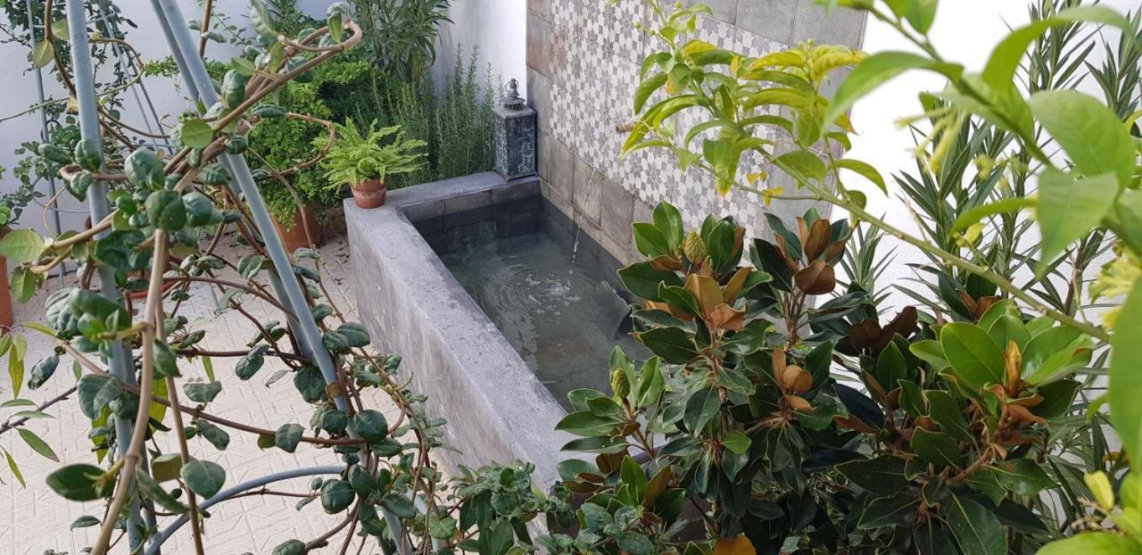 Casa Rural Los Danzantes Fuente-Tojar Εξωτερικό φωτογραφία
