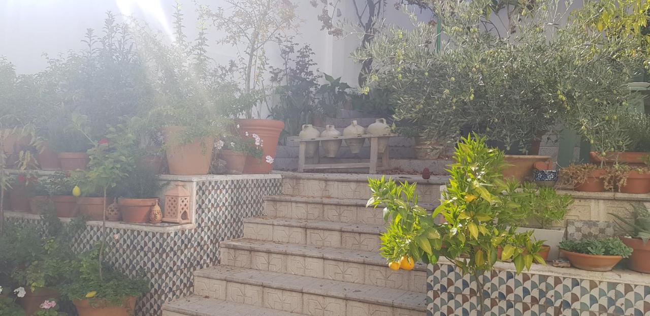 Casa Rural Los Danzantes Fuente-Tojar Εξωτερικό φωτογραφία