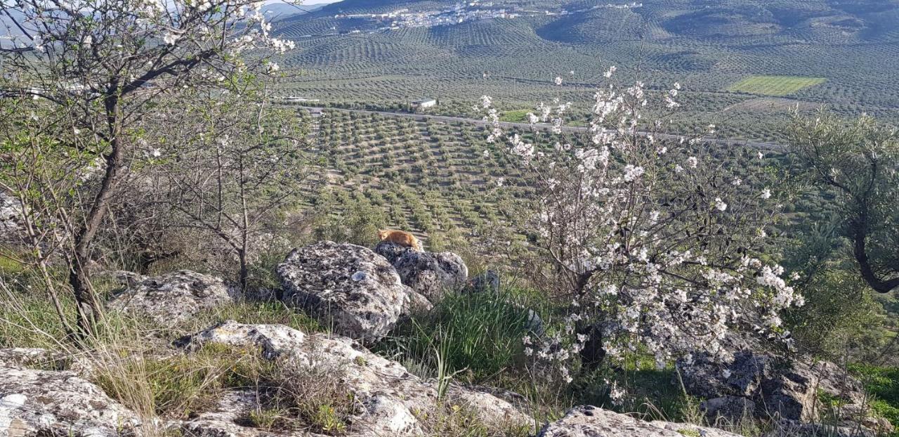 Casa Rural Los Danzantes Fuente-Tojar Εξωτερικό φωτογραφία